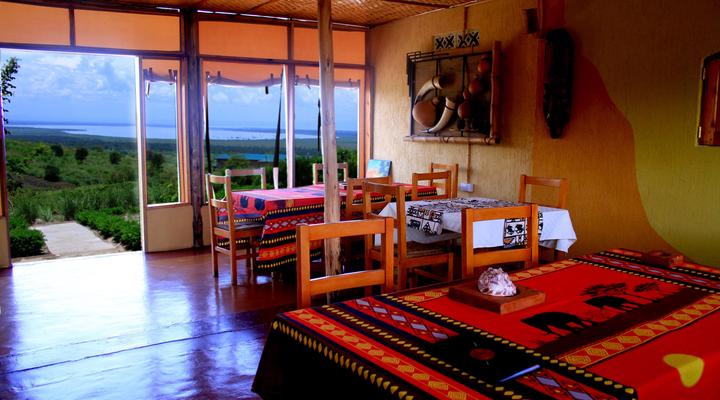 Wild Tracks Overland Camp