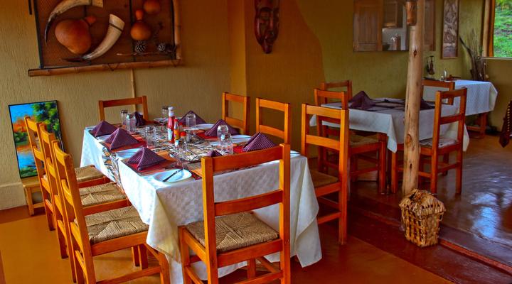 Wild Tracks Overland Camp