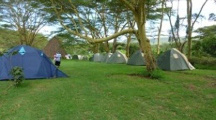 Malewa Bush Ventures