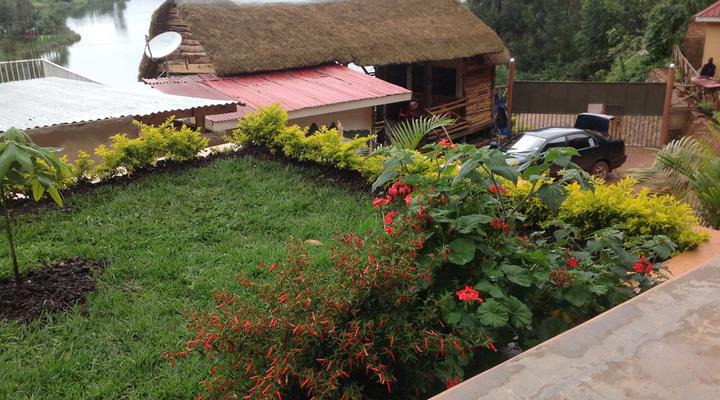 Bunyonyi View Gorilla Packers