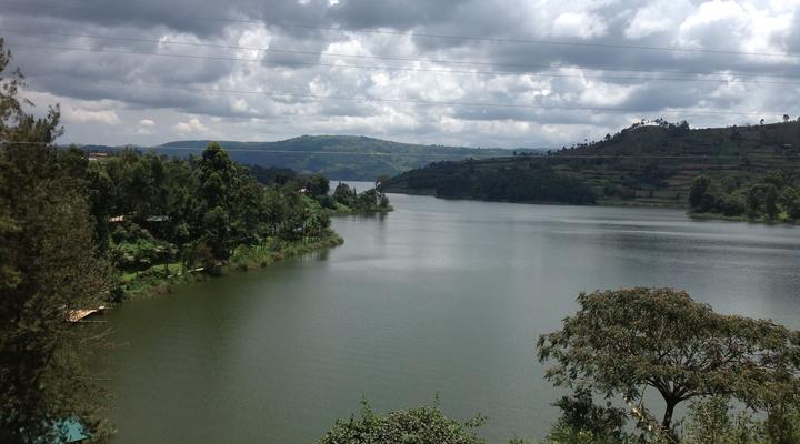 Bunyonyi View Gorilla Packers