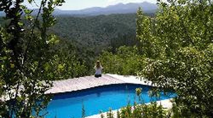 Lazy Leopard Forest Retreat