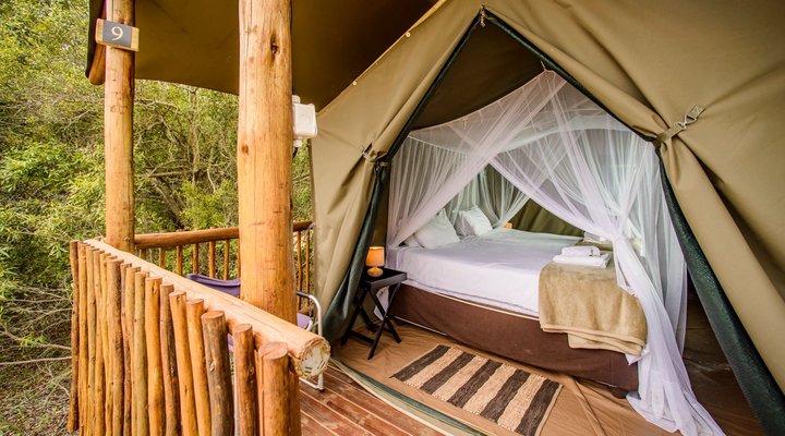 Shalati Safari Camp