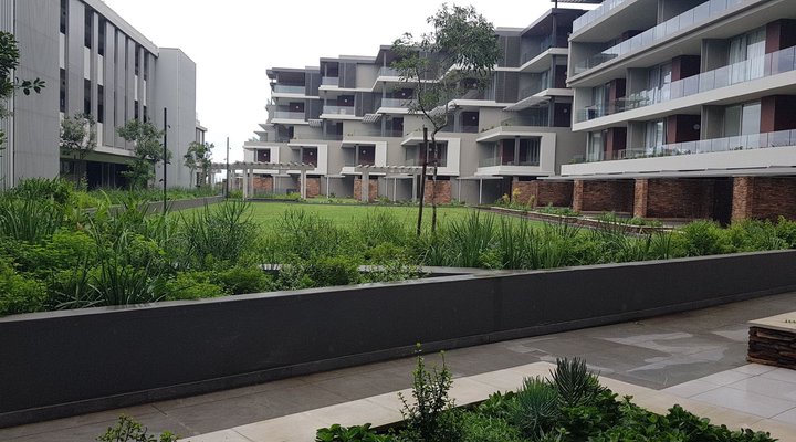 Ocean Dune G20