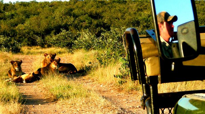 Kruger Private Bush Camp