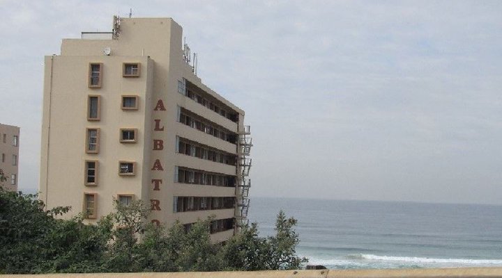 Albatros On The Beach