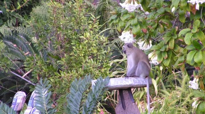 Arimagham Guest House