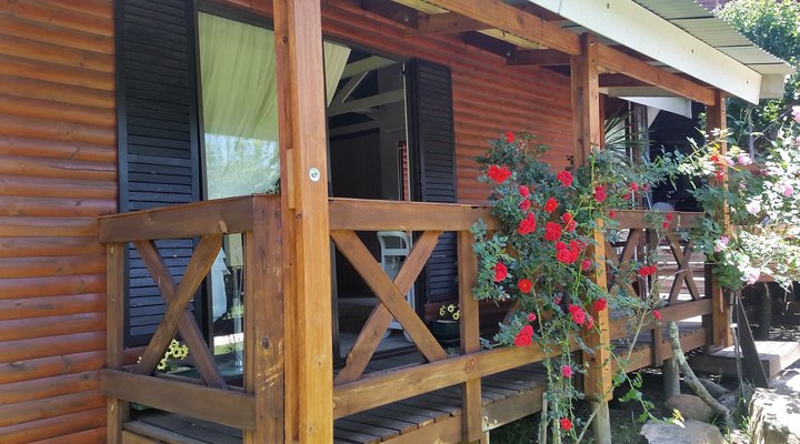  PennyPinch