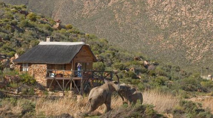 Aquila Private Game Reserve & Spa