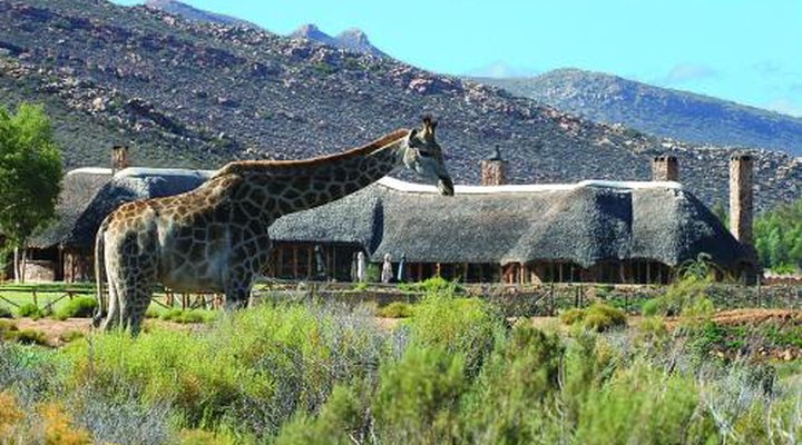 Aquila Private Game Reserve & Spa