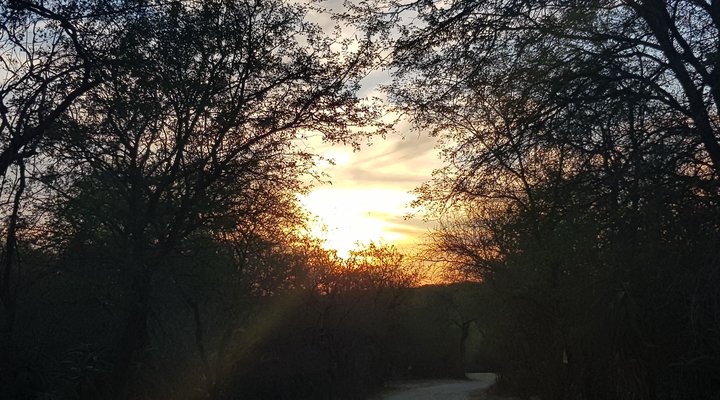 Swartwitpens 2694 Marloth Park