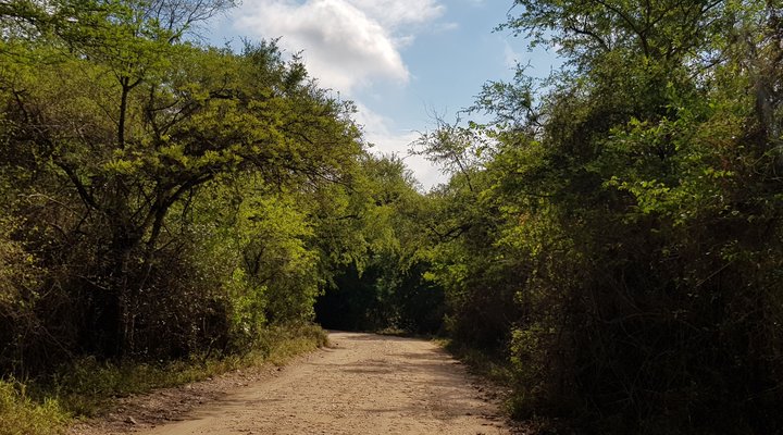 Swartwitpens 2694 Marloth Park