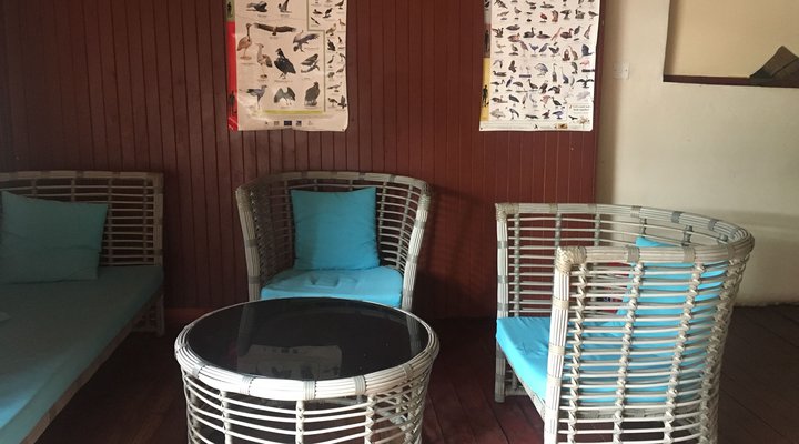 Luxury Wild Inn