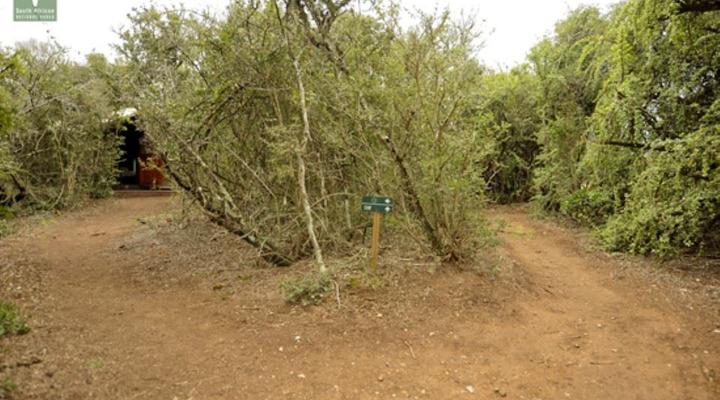 SANParks Spekboom Tented Rest Camp Addo Elephant National Park
