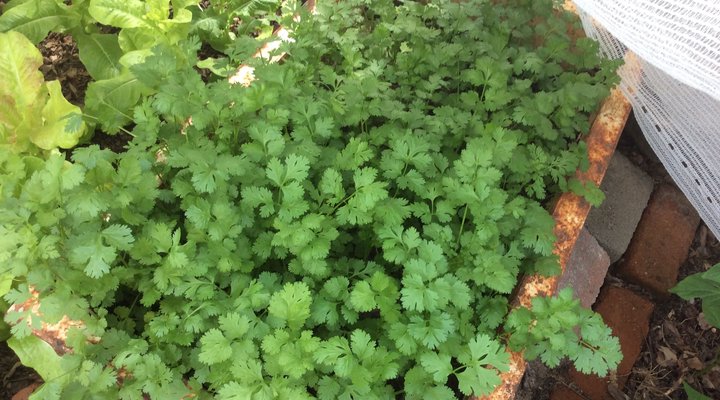 Kuminda Farm & Cultural Village