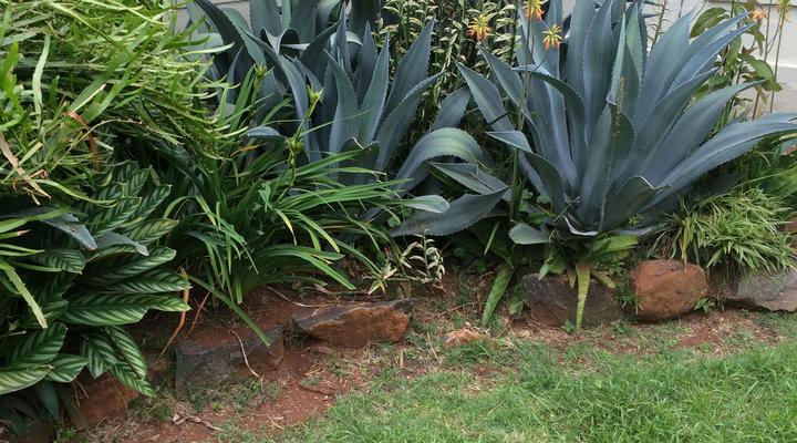 Muremba Retreat Kitale