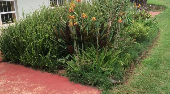 Muremba Retreat Kitale