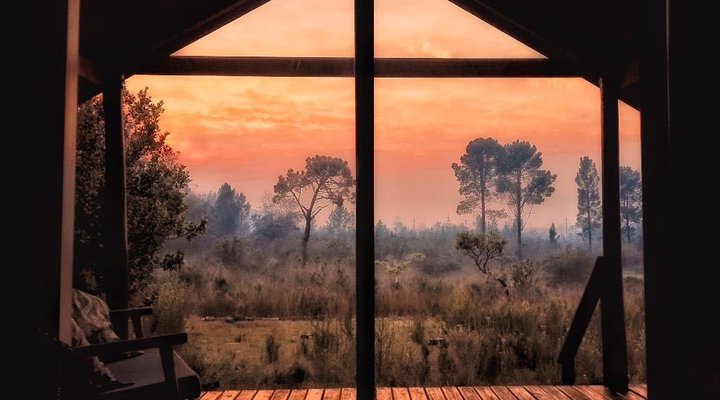 Tree Spirit Cottages