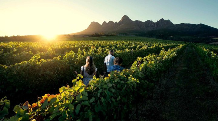 Winemakers House - Farm Accommodation
