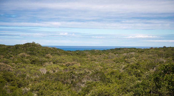 Shepherd's Keep Gîte Cabin