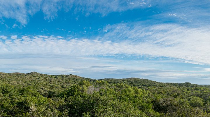 Shepherd's Keep Gîte Cabin