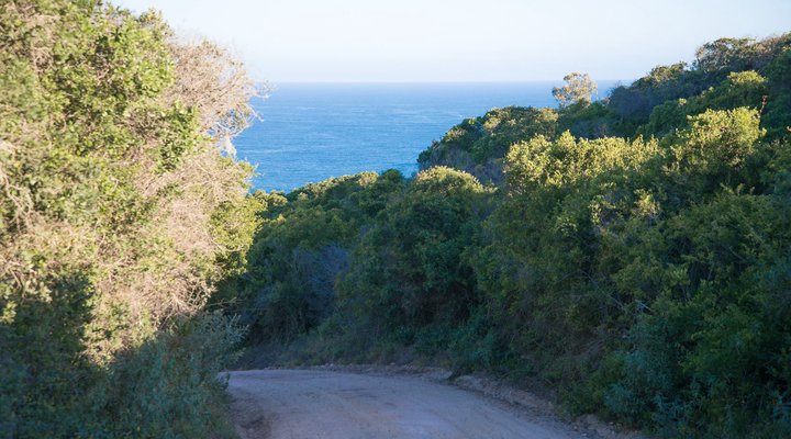Shepherd's Keep Gîte Cabin