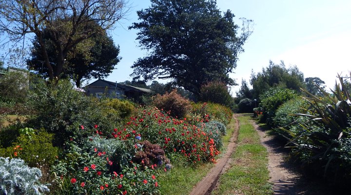 Crossroads Meander Farmstay
