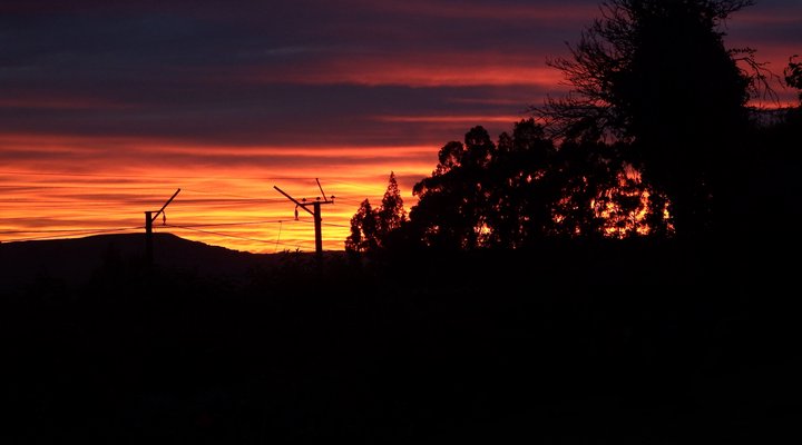 Crossroads Meander Farmstay