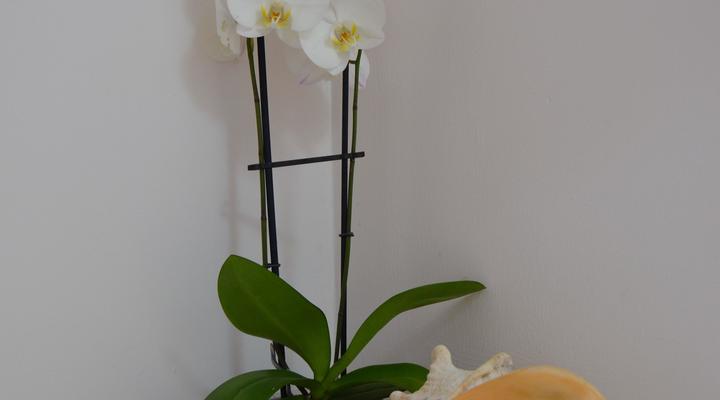 Gin & Jack Beach House