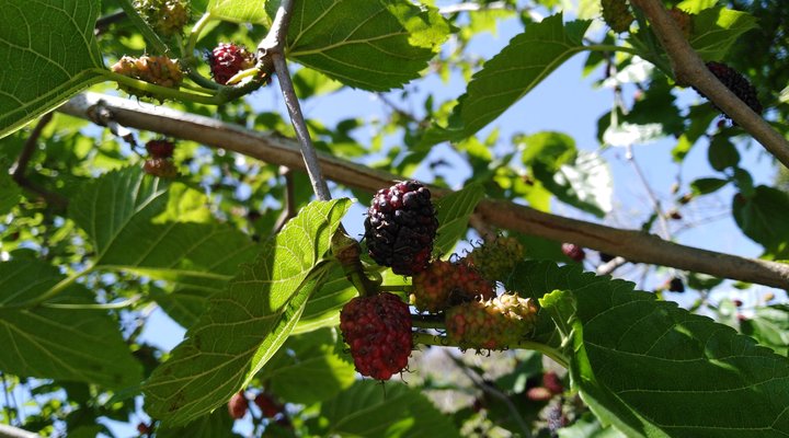 Crossroads Meander Farmstay