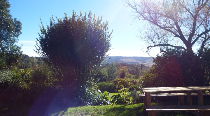 Crossroads Meander Farmstay