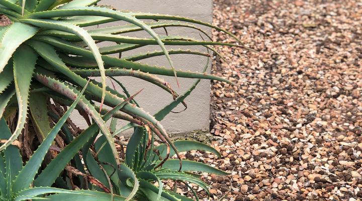 Staandakkie Guest Cottage - Solar Operated