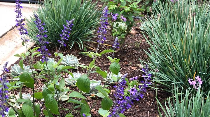 Staandakkie Guest Cottage - Solar Operated