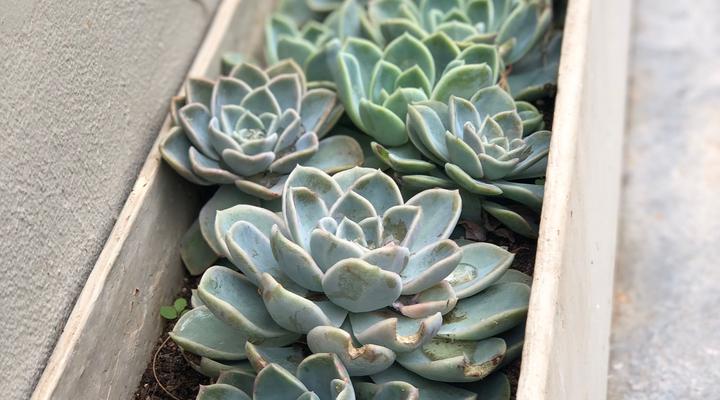 Staandakkie Guest Cottage - Solar Operated