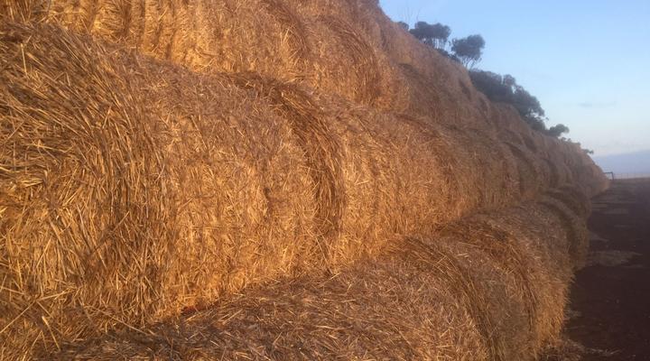 Staandakkie Guest Cottage - Solar Operated