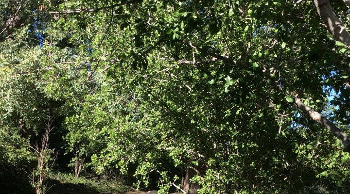 Kuminda Farm & Cultural Village