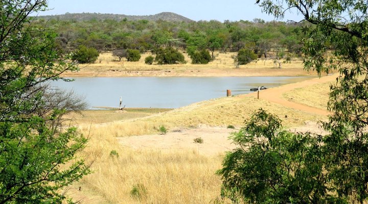 Naledi@Zebula