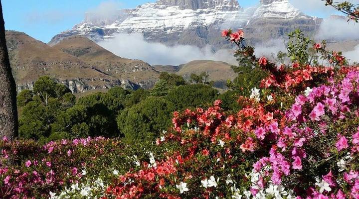 Pumula Central Drakensberg