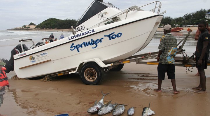 The Lookout Praia da Rocha