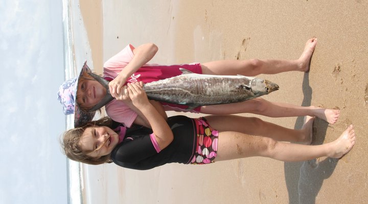 The Lookout Praia da Rocha