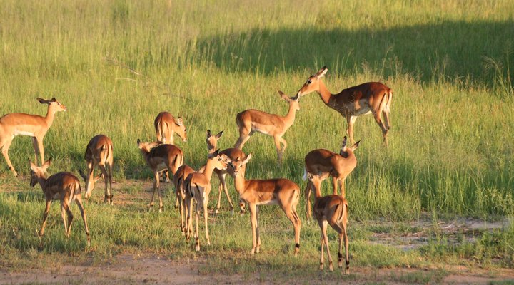 Thaba Metsi Nature Reserve