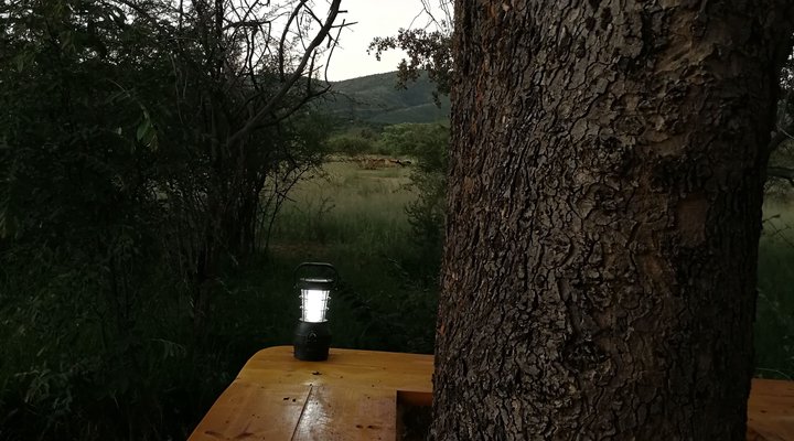 Buffalo Lodge