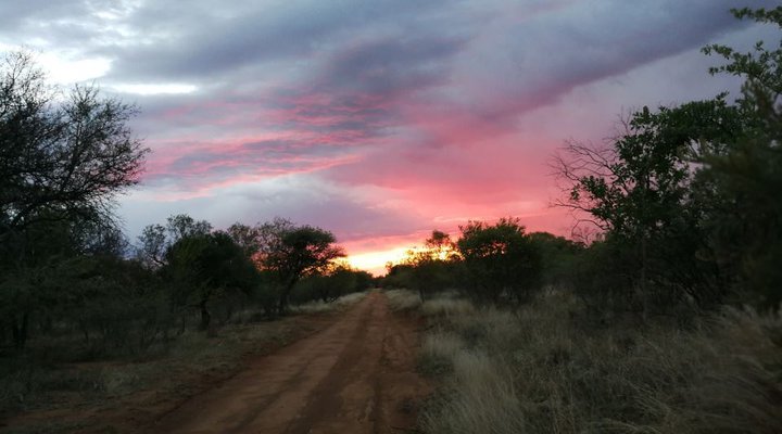 Buffalo Lodge