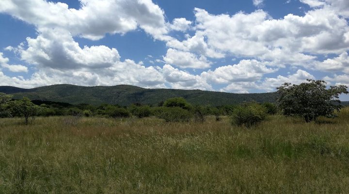 Buffalo Lodge