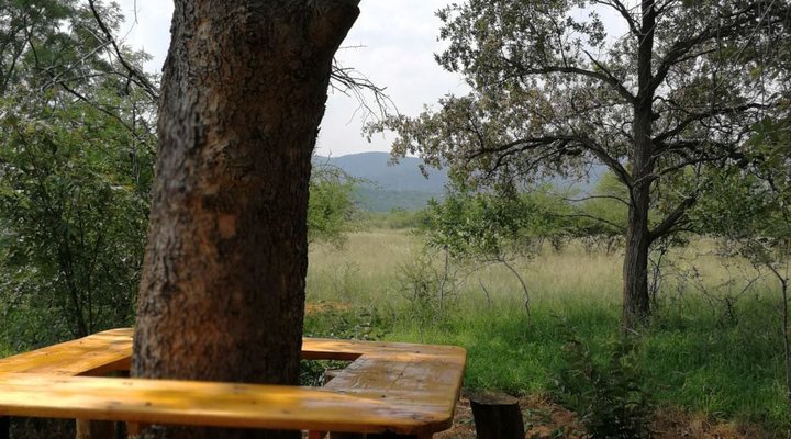 Buffalo Lodge