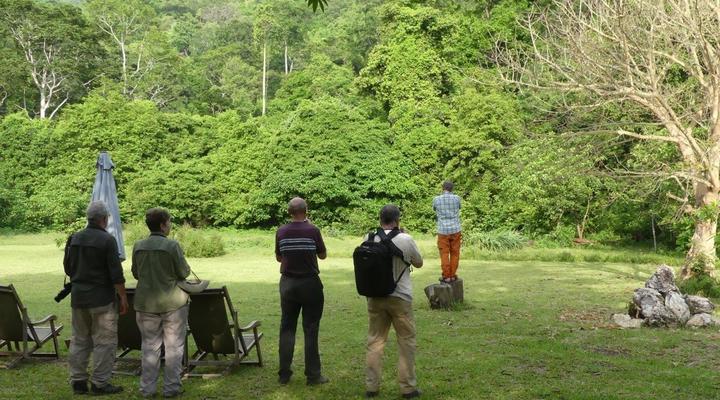  Udzungwa Forest Camp (Hondo Hondo) 