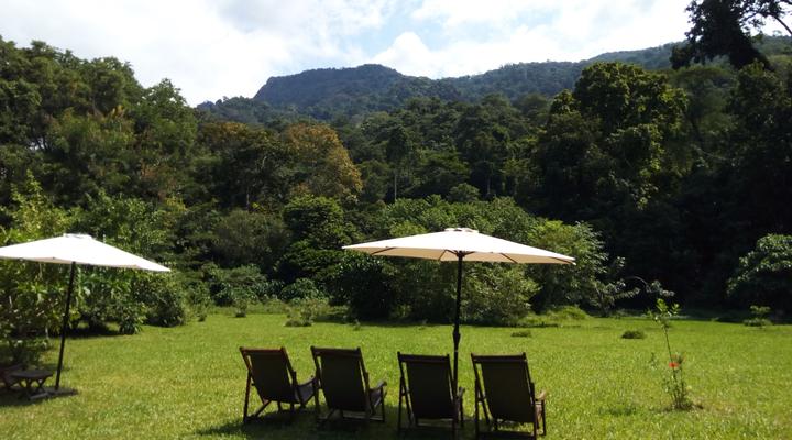  Udzungwa Forest Camp (Hondo Hondo) 