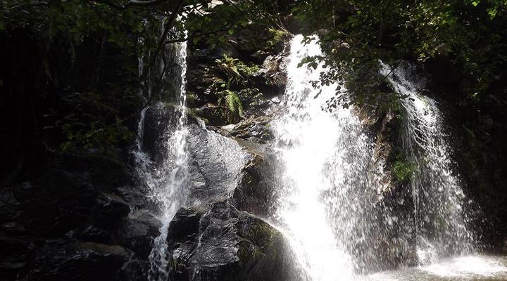  Udzungwa Forest Camp (Hondo Hondo) 