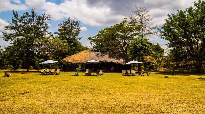  Udzungwa Forest Camp (Hondo Hondo) 