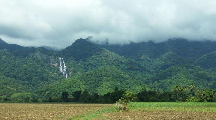  Udzungwa Forest Camp (Hondo Hondo) 